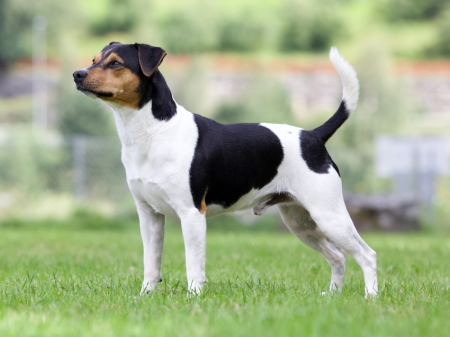 Indsendt af Anne-Marie Lund