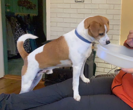 Indsendt af Vegard Ulset, Kristiansand