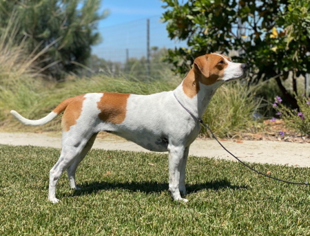 Indsendt af Danika Bannasch